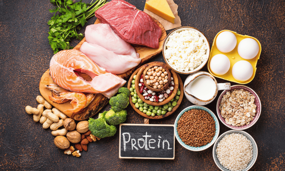 Berbagai Macam Sumber Protein