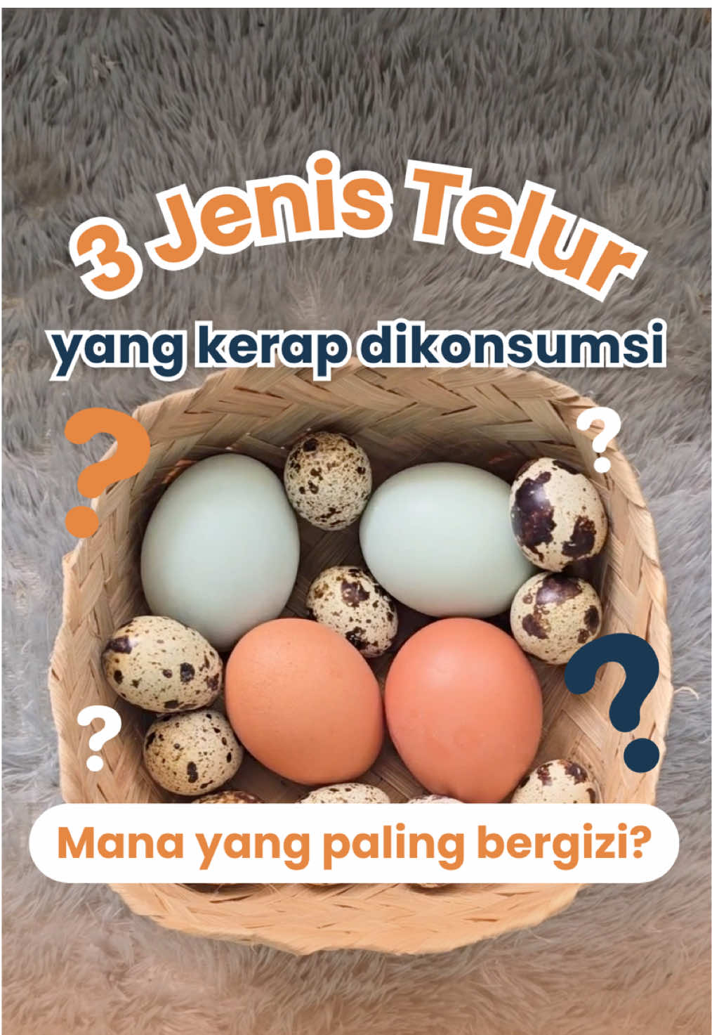 Telur Ayam, Bebek, atau Puyuh: Mana yang Paling Bergizi?🤔❓