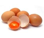 one day one egg